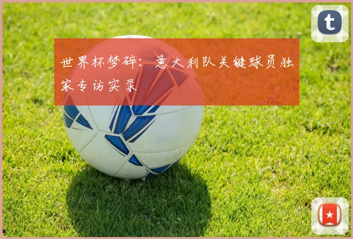 世界杯梦碎：意大利队关键球员独家专访实录