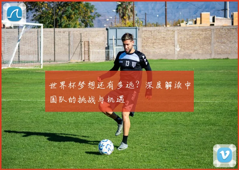 世界杯梦想还有多远？深度解读中国队的挑战与机遇