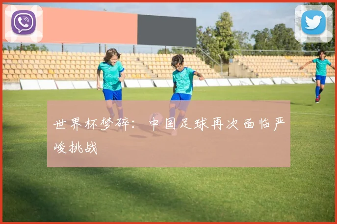 世界杯梦碎：中国足球再次面临严峻挑战