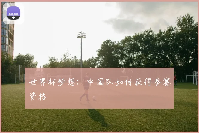 世界杯梦想：中国队如何获得参赛资格