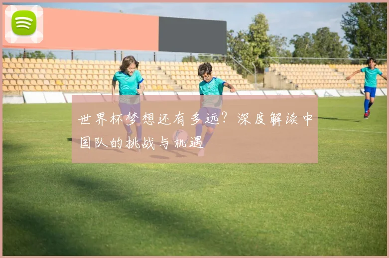 世界杯梦想还有多远？深度解读中国队的挑战与机遇