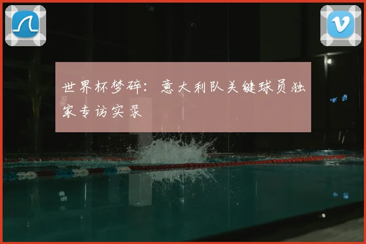 世界杯梦碎：意大利队关键球员独家专访实录