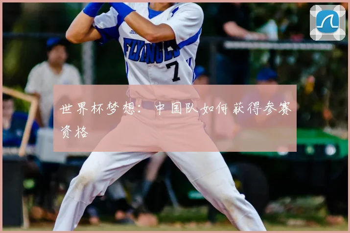 世界杯梦想：中国队如何获得参赛资格