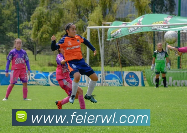 米兰app登陆入口平台生态图