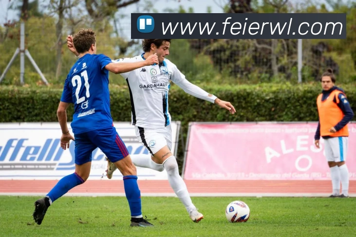 米兰app登陆入口APP 封面图